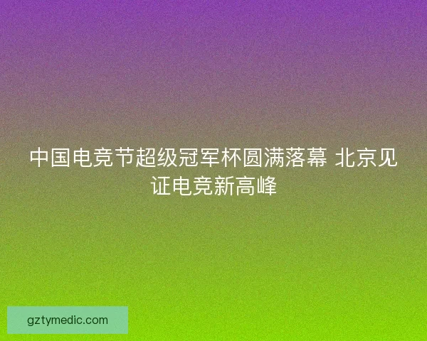 中国电竞节超级冠军杯圆满落幕 北京见证电竞新高峰